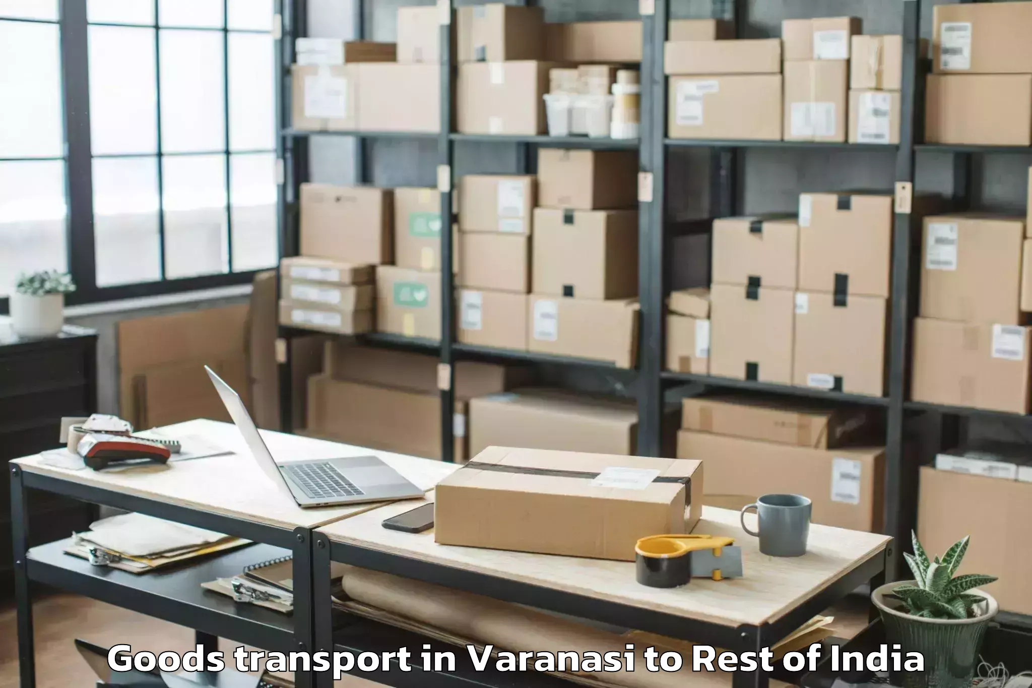 Quality Varanasi to Kithaur Goods Transport